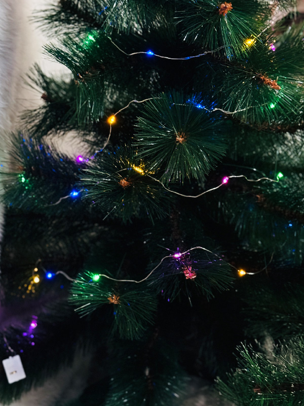 ریسه نور 2 متری رنگی کد 465 - Image 3