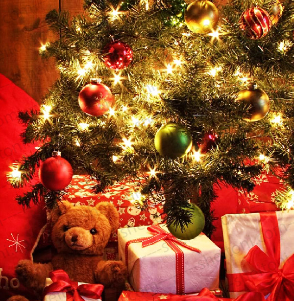 ریسه نور 10 متری سیم مشکی کد 461 - Image 2