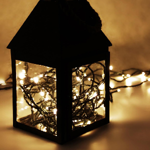 ریسه نور 10 متری سیم مشکی کد 461