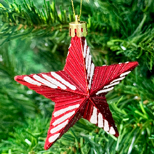 اویز ستاره کریسمس 9 سانت کد 828